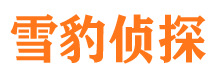 武陵源侦探调查公司